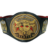 کمربند قهرمانی کد 303